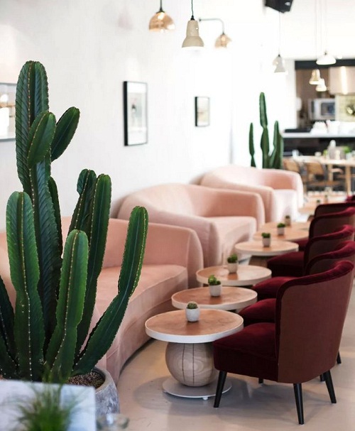 1563955511989776.jpg 4.1.jpg