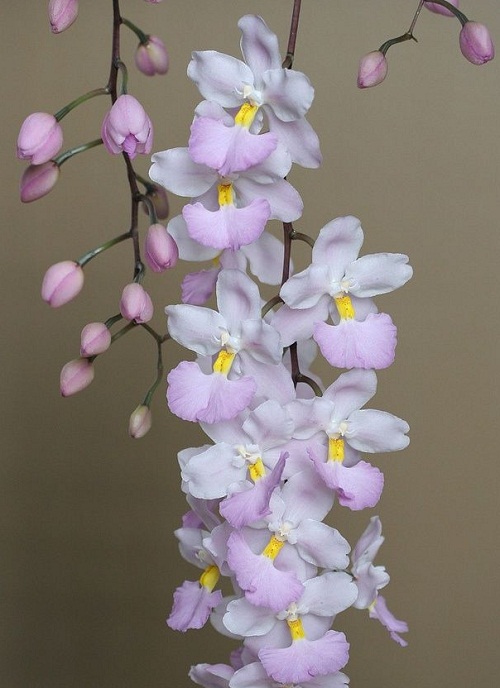 1564363440476501.jpg 3.1.jpg