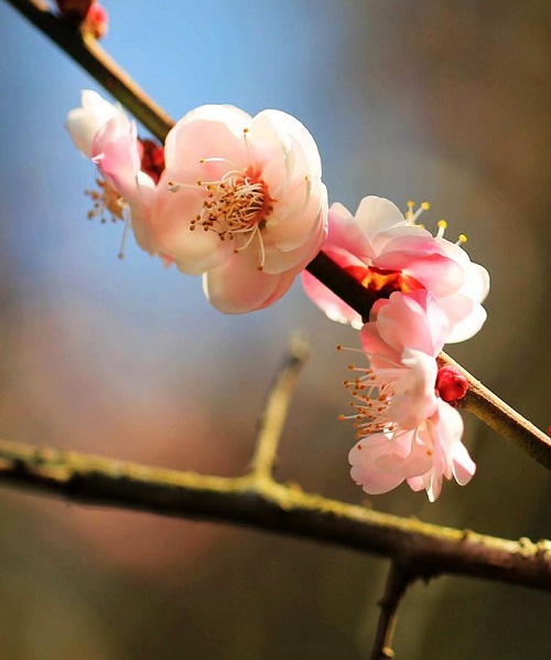 1564363461336242.jpg 4.1.jpg