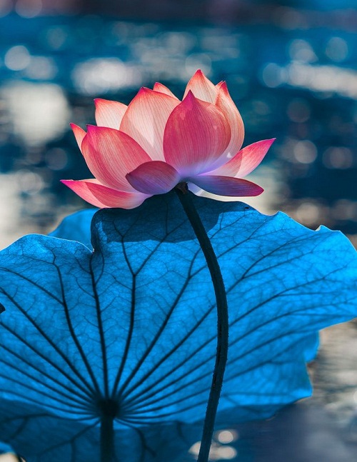 1564363481858093.jpg 5.1.jpg