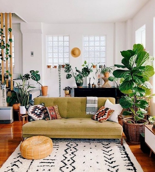 1565054951762268.jpg 2.2.jpg