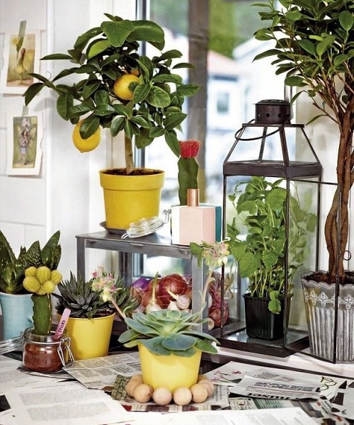 1565165120617340.jpg 4.3.jpg