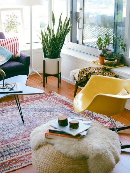 1567473468972503.jpg 2.1.jpg