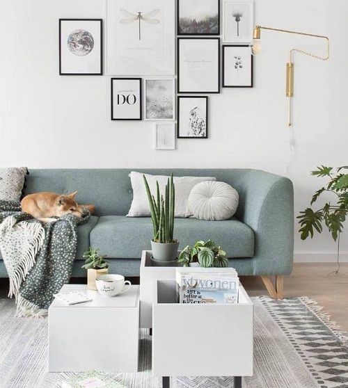 1567473475272979.jpg 2.3.jpg