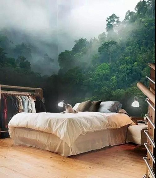 1571102199538513.jpg 4.1.jpg