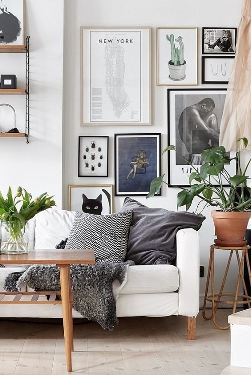 1573810161547973.jpg 5.1.jpg