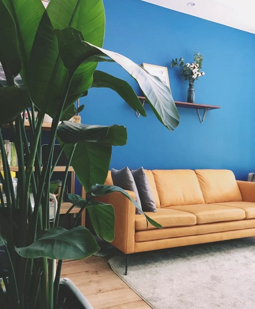 1576143120546569.jpg 6.1.webp.jpg