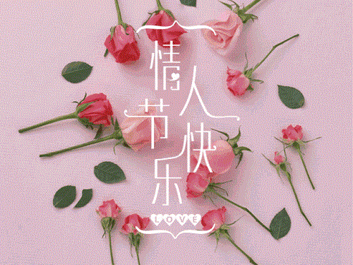 1581728768585937.gif 2.gif