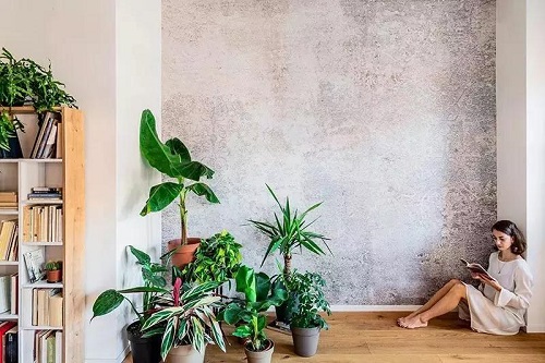 1582592817433990.jpg 3.2.jpg