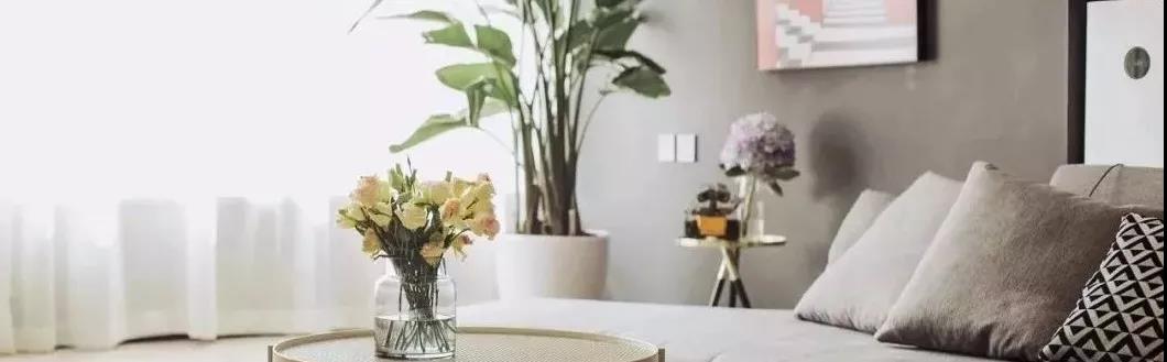 1582682232752838.jpg 1.jpg