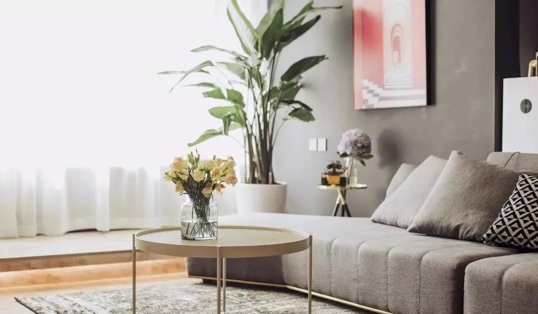 1582682379801361.jpg 8.jpg