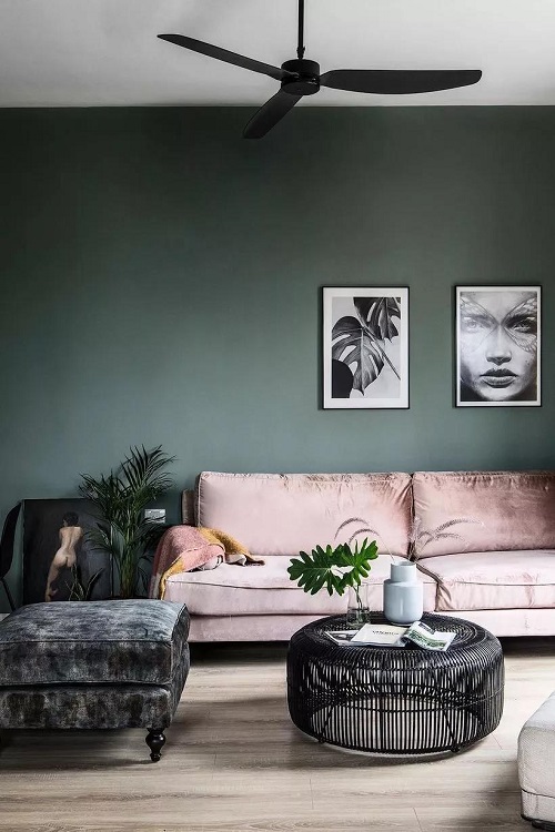 1583197238522583.jpg 4.4.jpg