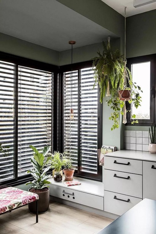 1583197353867492.jpg 4.17.jpg