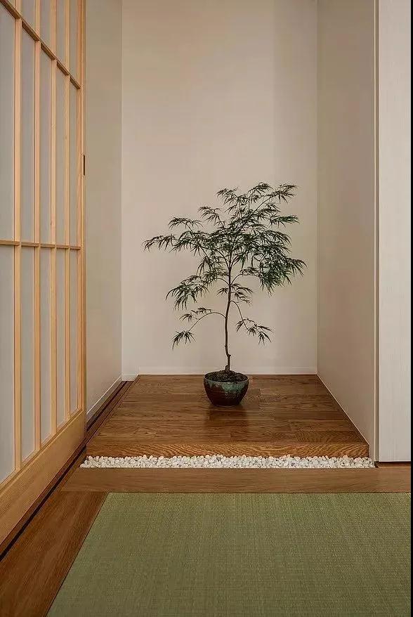 室内软装软件.jpg