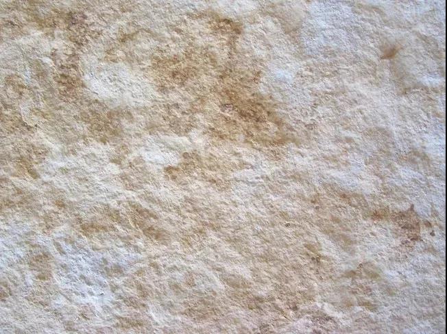 1608004211450958.jpg 1608004211450958.jpg